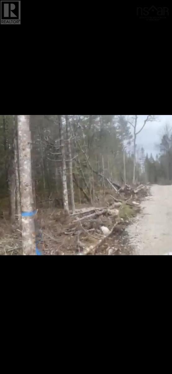 7 Rylan Lane, Chester Grant, Nova Scotia  B0K 1J0 - Photo 4 - 202404874