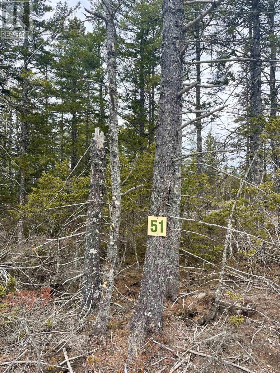 51 Meek Arm Trail, East Uniacke, Nova Scotia  B0N 1Z0 - Photo 8 - 202404877