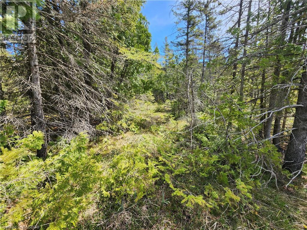 1061 Old Sunset Drive, South Bruce Peninsula, Ontario  N0H 2T0 - Photo 15 - 40547751
