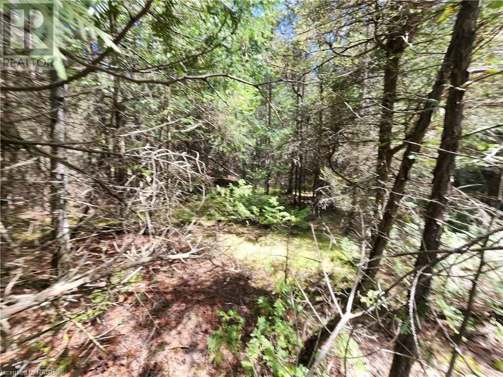 1061 Old Sunset Drive, South Bruce Peninsula, Ontario  N0H 2T0 - Photo 18 - 40547751