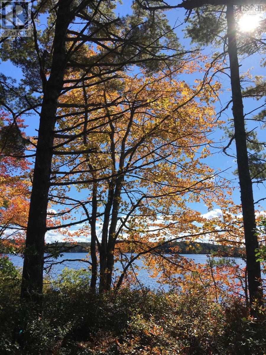 Lot D Back Lake Road, Upper Ohio, Nova Scotia  B0T 1W0 - Photo 10 - 202401784