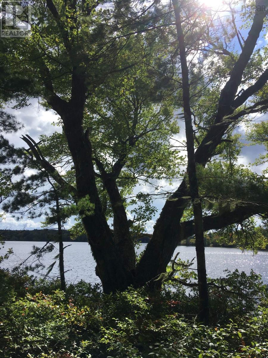 Lot D Back Lake Road, Upper Ohio, Nova Scotia  B0T 1W0 - Photo 12 - 202401784