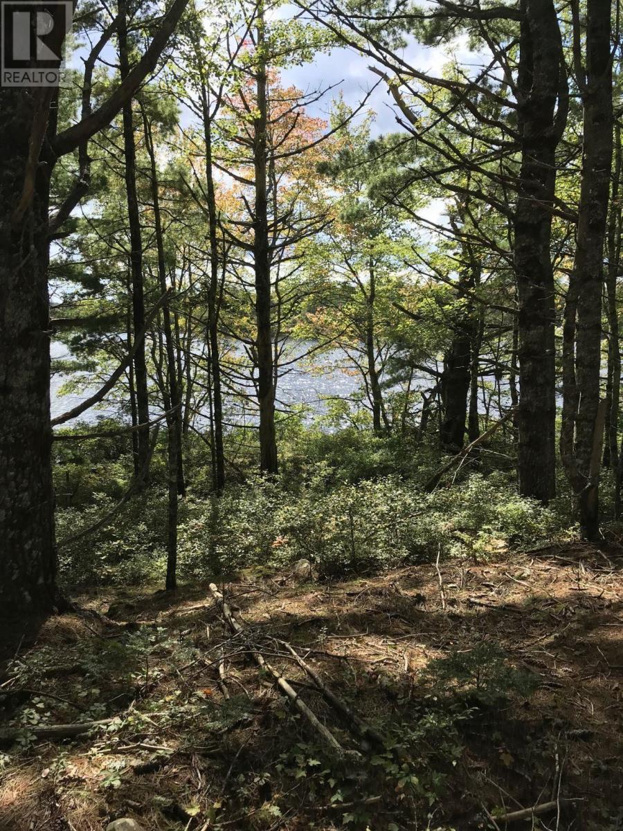 Lot D Back Lake Road, Upper Ohio, Nova Scotia  B0T 1W0 - Photo 15 - 202401784
