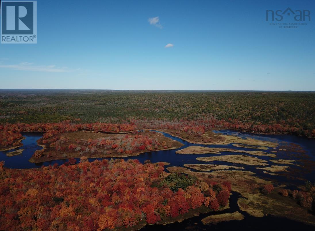 Lot D Back Lake Road, Upper Ohio, Nova Scotia  B0T 1W0 - Photo 3 - 202401784