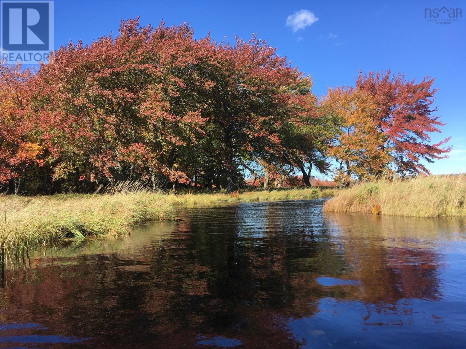 Lot D Back Lake Road, Upper Ohio, Nova Scotia  B0T 1W0 - Photo 7 - 202401784
