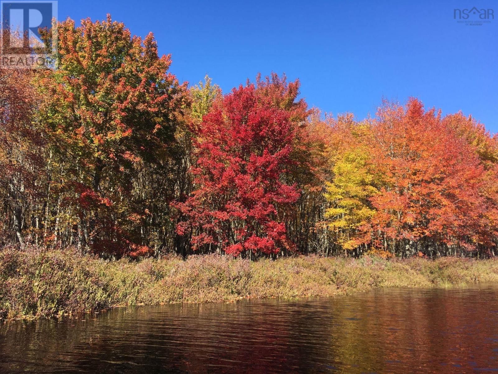 Lot D Back Lake Road, Upper Ohio, Nova Scotia  B0T 1W0 - Photo 8 - 202401784