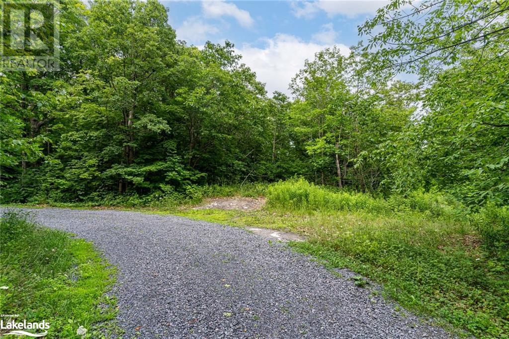 Part Lot 24 & 25 Giles Road, Seguin, Ontario  P2A 0B2 - Photo 22 - 40556307