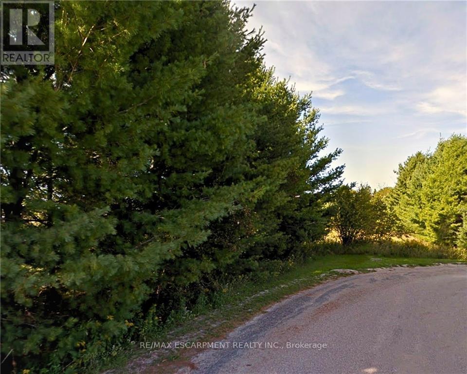 N/a Doc Strain Drive, Gore Bay, Ontario  P0P 1H0 - Photo 2 - X8153642