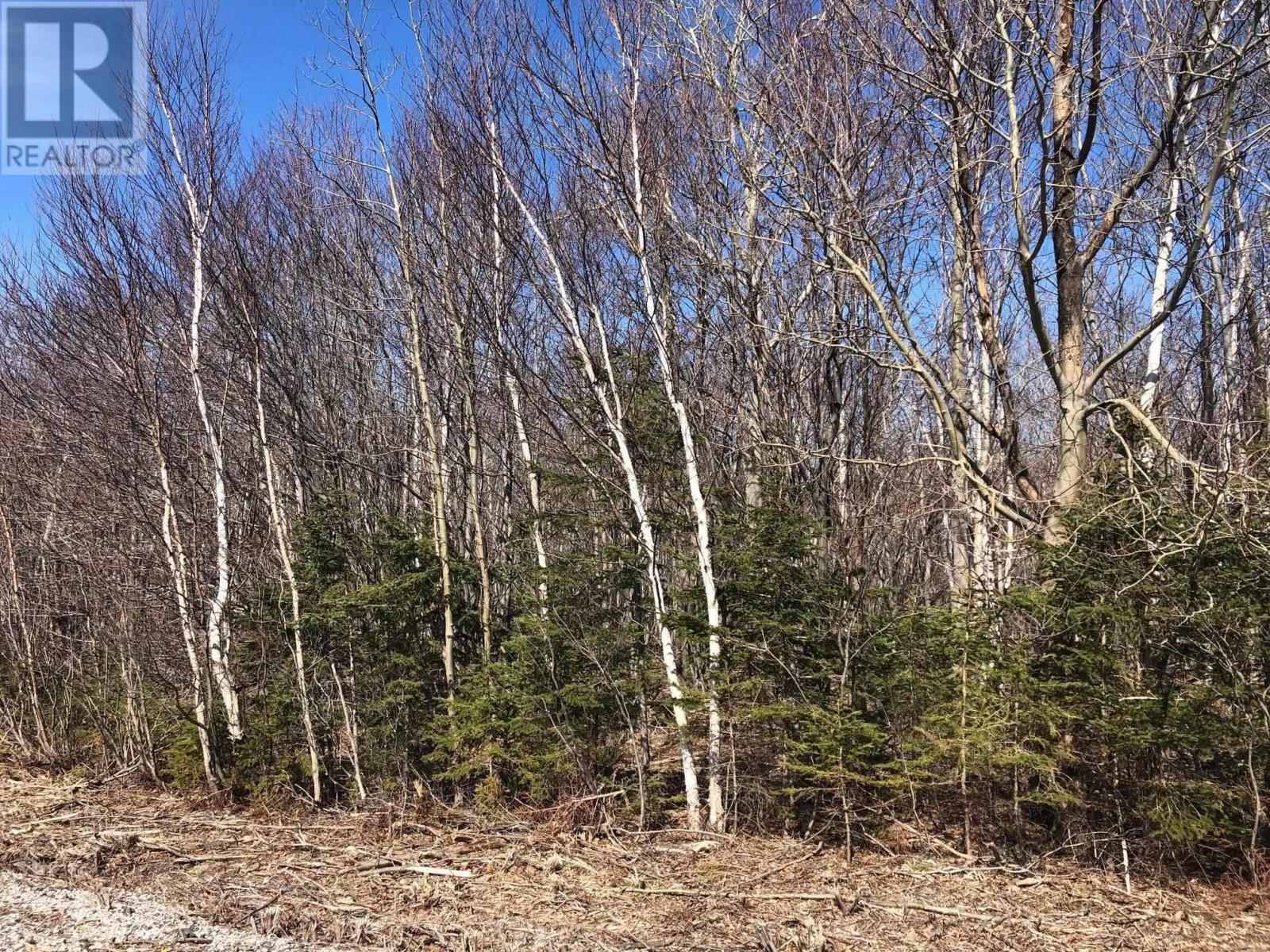 Lot B Mclellan Drive, Lingan Road, Nova Scotia  B1H 5G8 - Photo 3 - 202404920