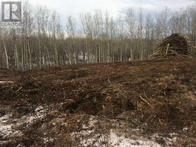 224002 Township Road 654, Rural Athabasca County, Alberta  T9S 1C4 - Photo 12 - A2104804