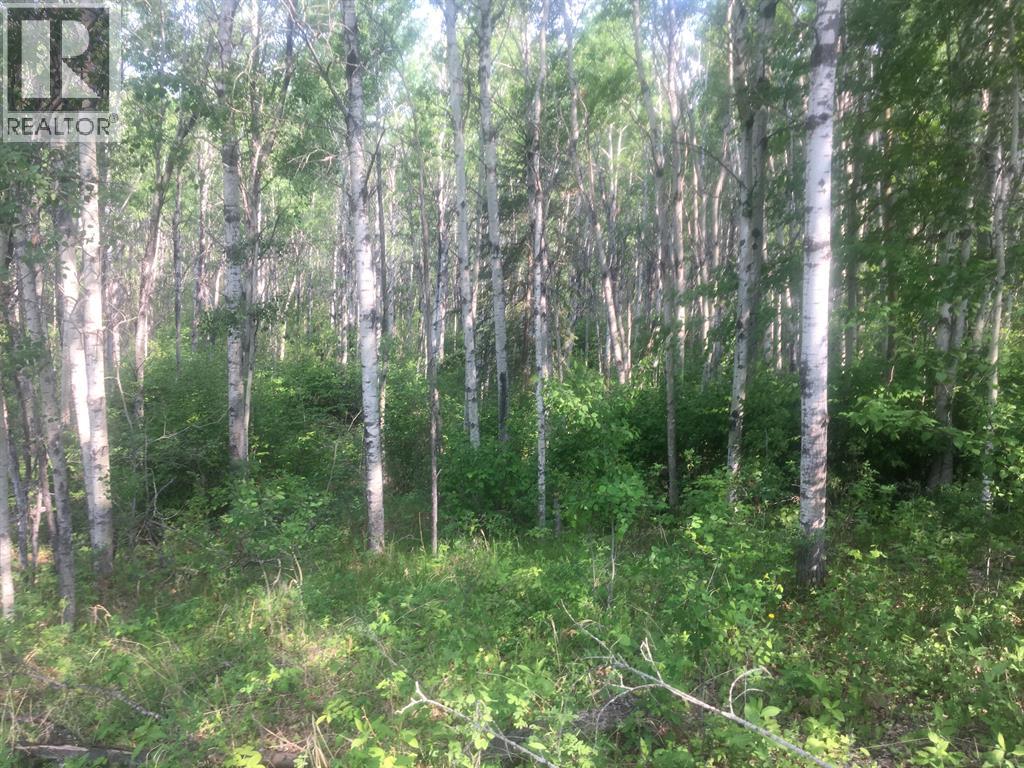 224002 Township Road 654, Rural Athabasca County, Alberta  T9S 1C4 - Photo 6 - A2104804