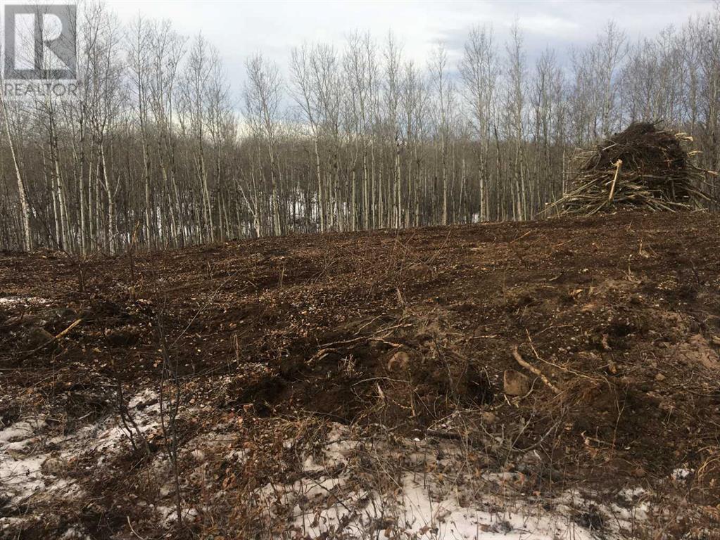 224002 Township Road 654, Rural Athabasca County, Alberta  T9S 1C4 - Photo 9 - A2104804