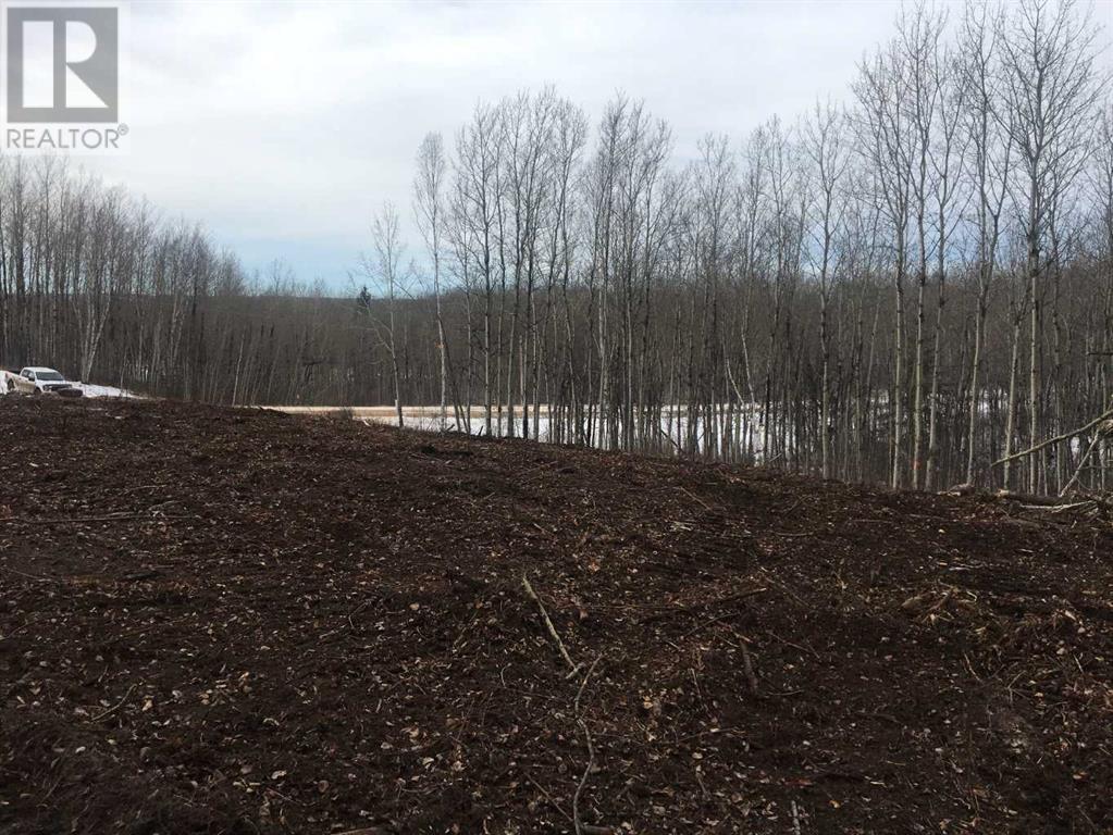 224002 Township Road 654, Rural Athabasca County, Alberta  T9S 1C4 - Photo 11 - A2104804