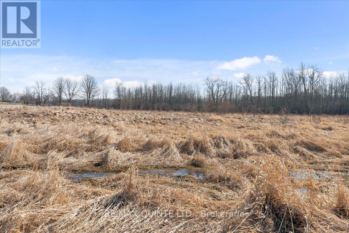 Across From 321 Quaker Road, Prince Edward County, Ontario  K0K 1G0 - Photo 10 - X8156078