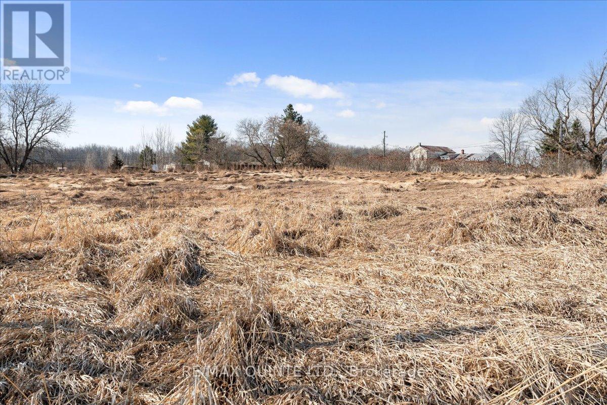 Across From 321 Quaker Road, Prince Edward County, Ontario  K0K 1G0 - Photo 11 - X8156078