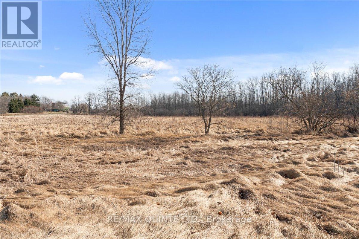 Across From 321 Quaker Road, Prince Edward County, Ontario  K0K 1G0 - Photo 12 - X8156078