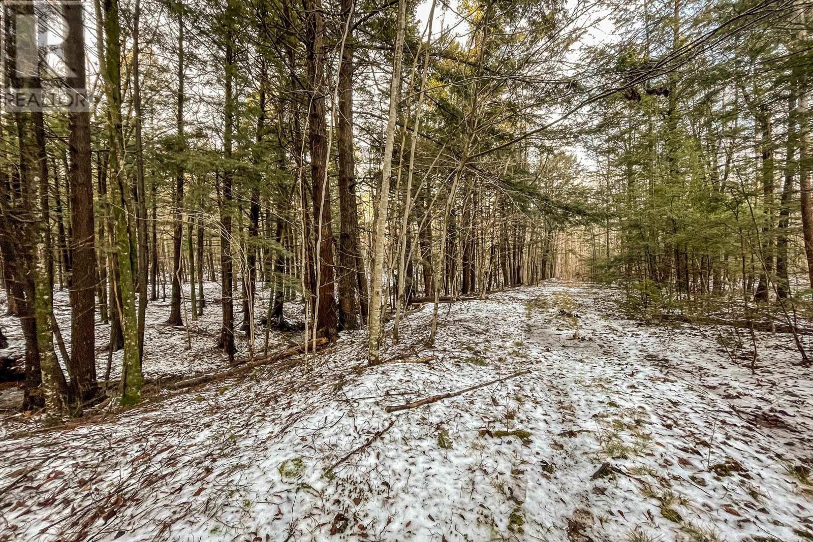 Lot 2 Harrington Road, Coldbrook, Nova Scotia  B4R 1C1 - Photo 6 - 202404945
