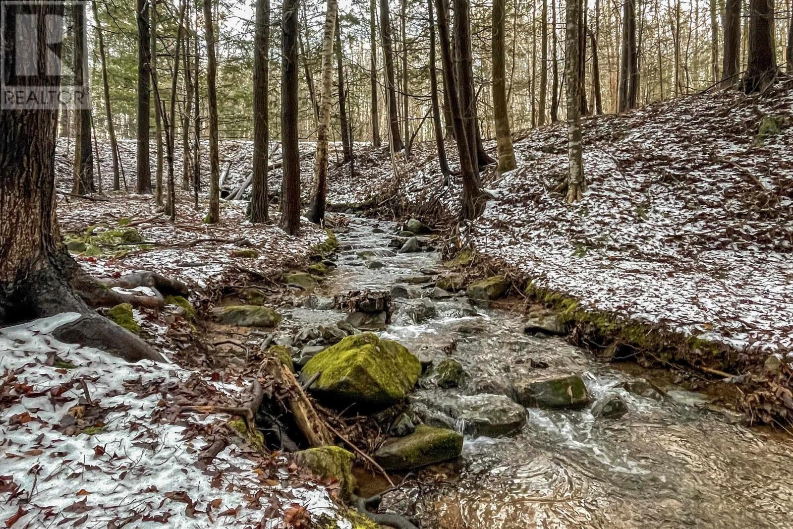 Lot 2 Harrington Road, Coldbrook, Nova Scotia  B4R 1C1 - Photo 7 - 202404945