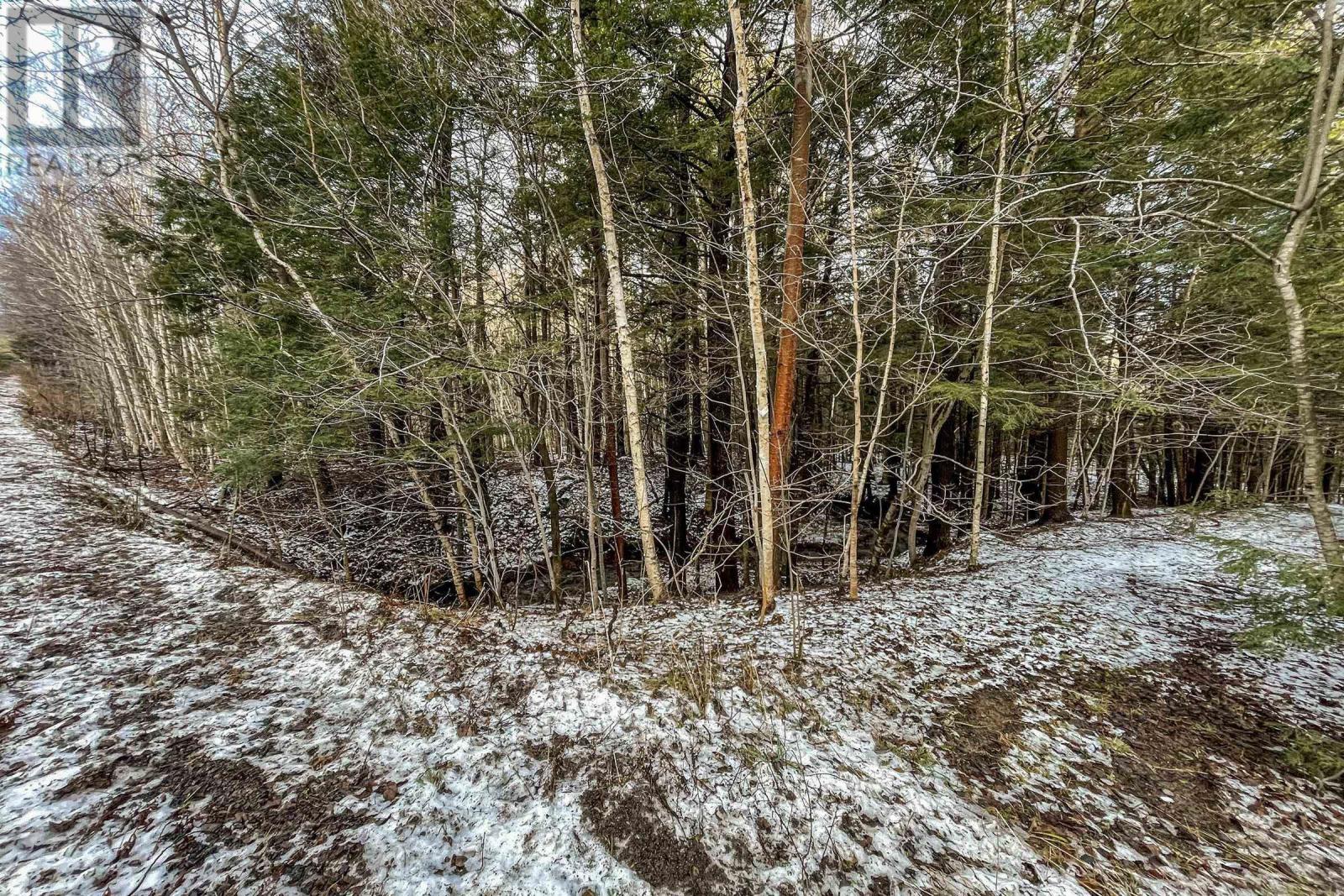 Lot 2 Harrington Road, Coldbrook, Nova Scotia  B4R 1C1 - Photo 8 - 202404945