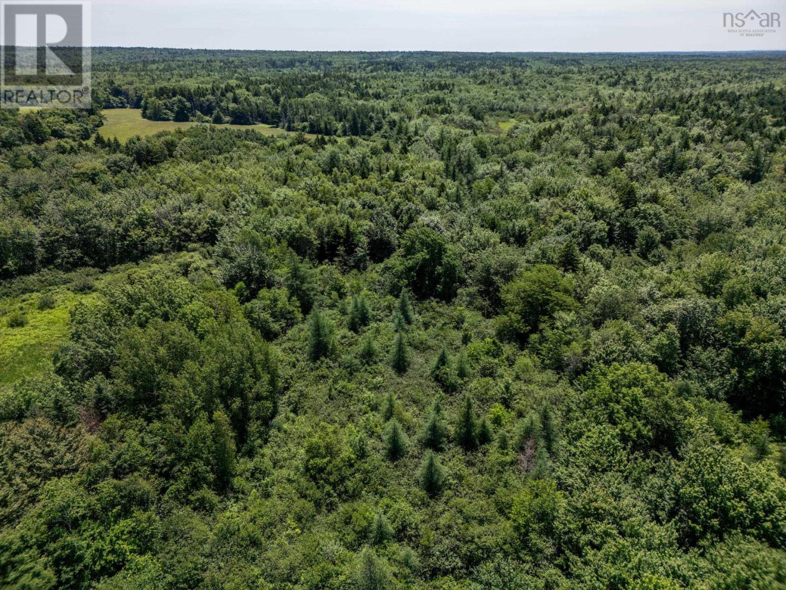 Lot Towshipline Road, Ohio, Nova Scotia  B0W 3T0 - Photo 10 - 202404967