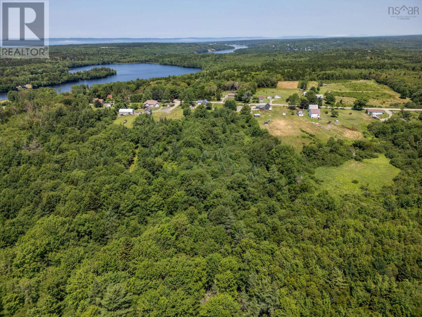 Lot Towshipline Road, Ohio, Nova Scotia  B0W 3T0 - Photo 6 - 202404967