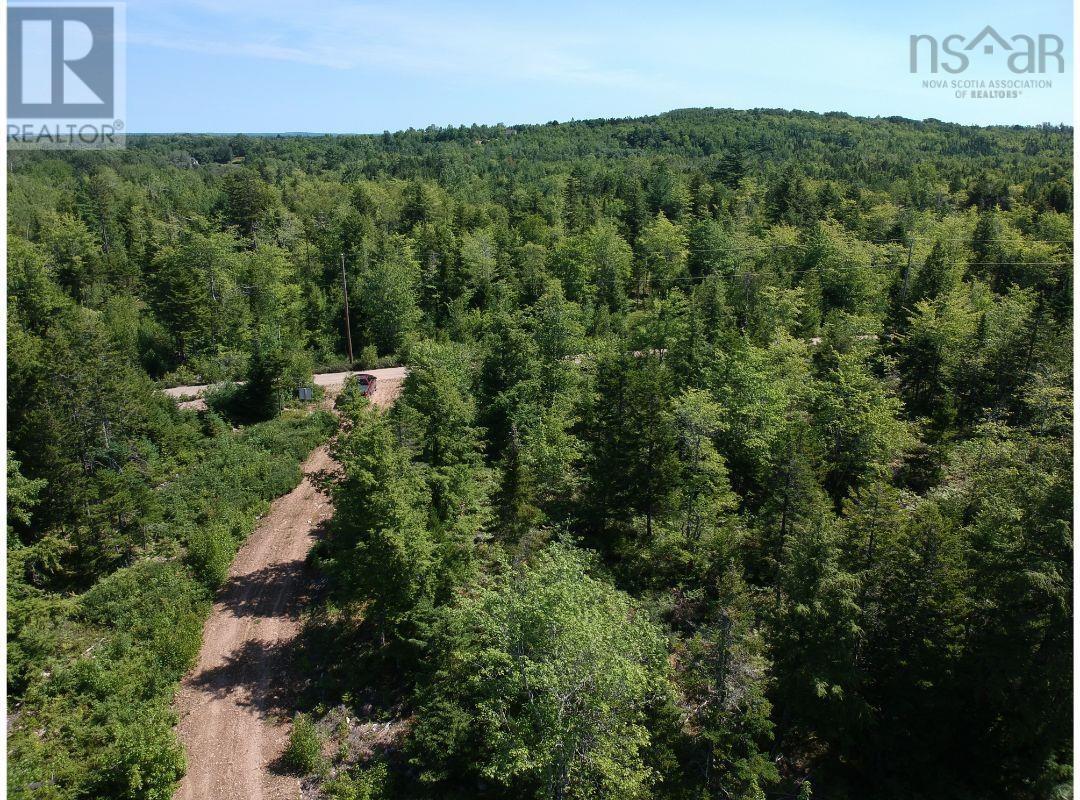 9-A Airforce Camp Road, Springfield, Nova Scotia  B0R 1H0 - Photo 6 - 202404984
