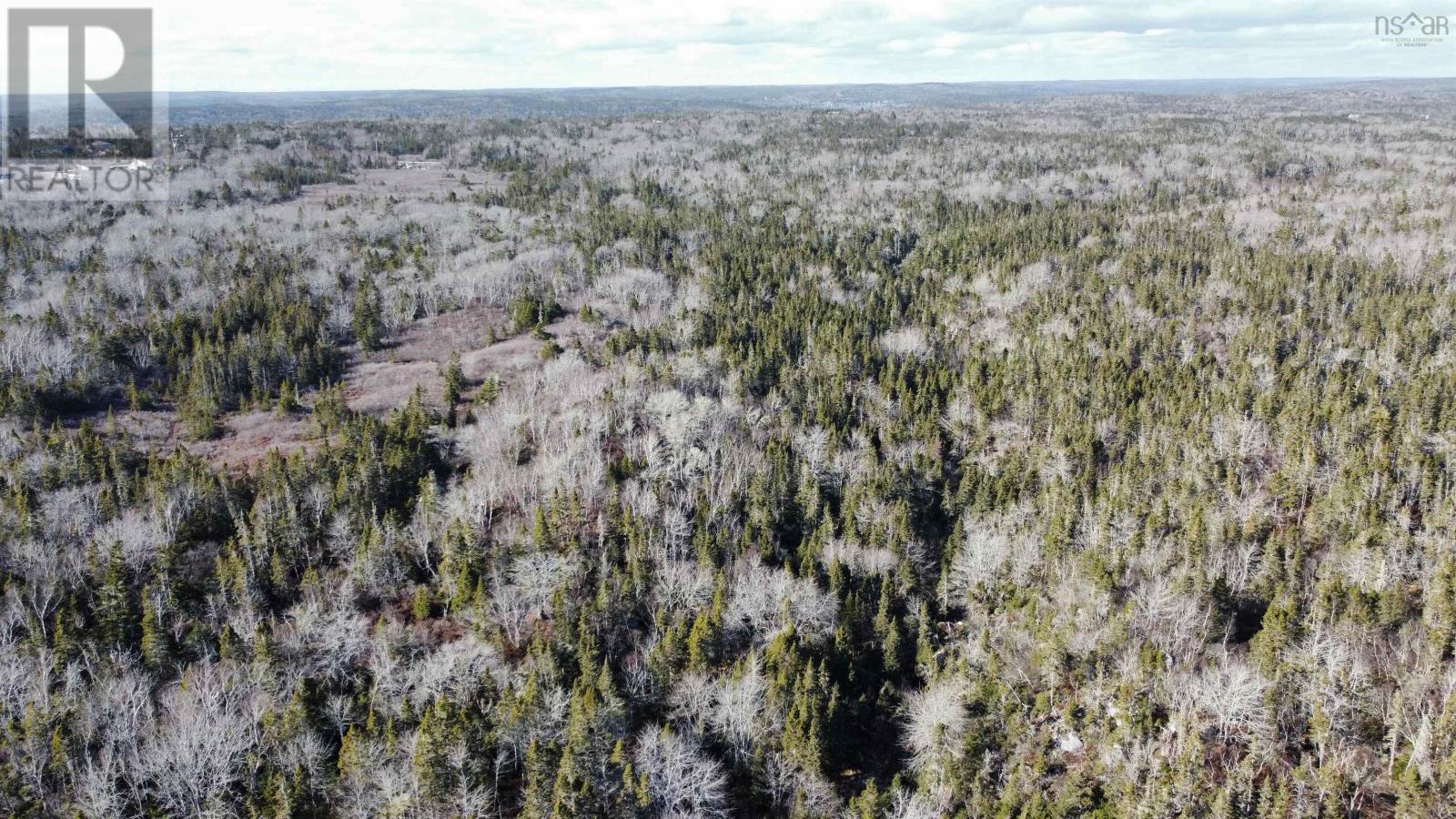 0 Barachois Lake Road, Prospect, Nova Scotia  B3T 0A7 - Photo 18 - 202404986