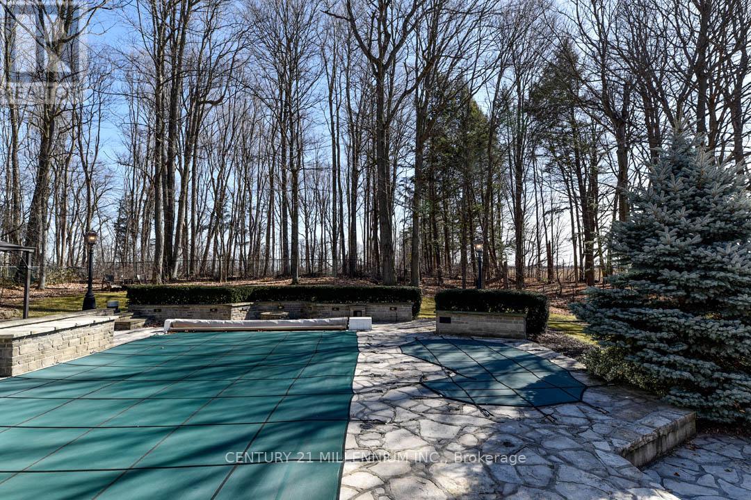 4255 Boston Mills Road, Caledon, Ontario  L7C 0N7 - Photo 6 - W8157808