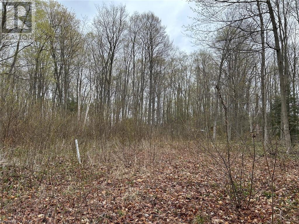 77347 Forest Ridge Road, Central Huron, Ontario  N0M 1G0 - Photo 3 - 40556478
