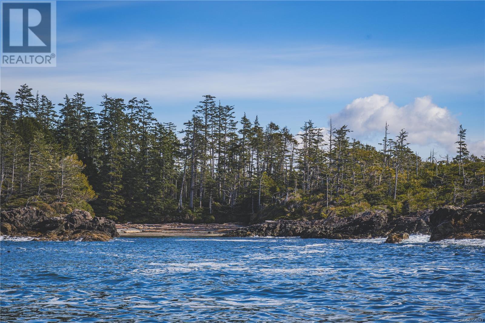 Lot A Vargas Island, Tofino, British Columbia  V0R 2Z0 - Photo 10 - 956243