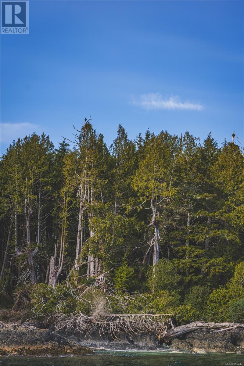 Lot A Vargas Island, Tofino, British Columbia  V0R 2Z0 - Photo 12 - 956243