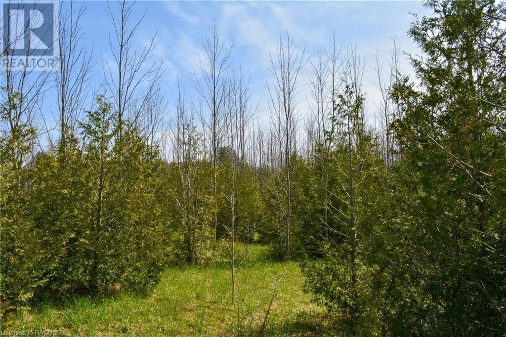 316591 6 Highway, Chatsworth (Twp), Ontario  N0H 1G0 - Photo 42 - 40557267
