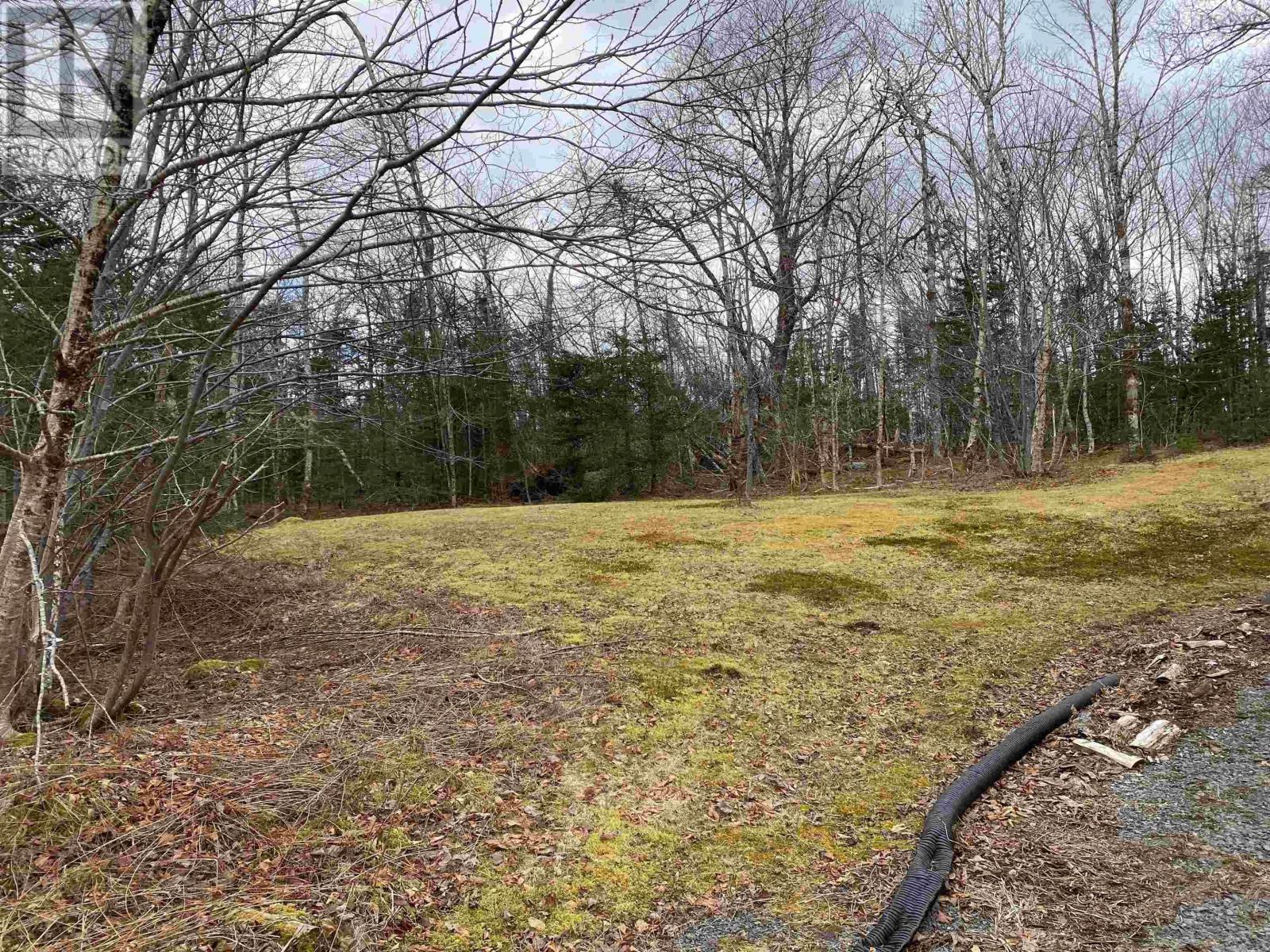 1591 Mooseland Road, Jacket Lake, Nova Scotia  B0J 2J0 - Photo 11 - 202405021