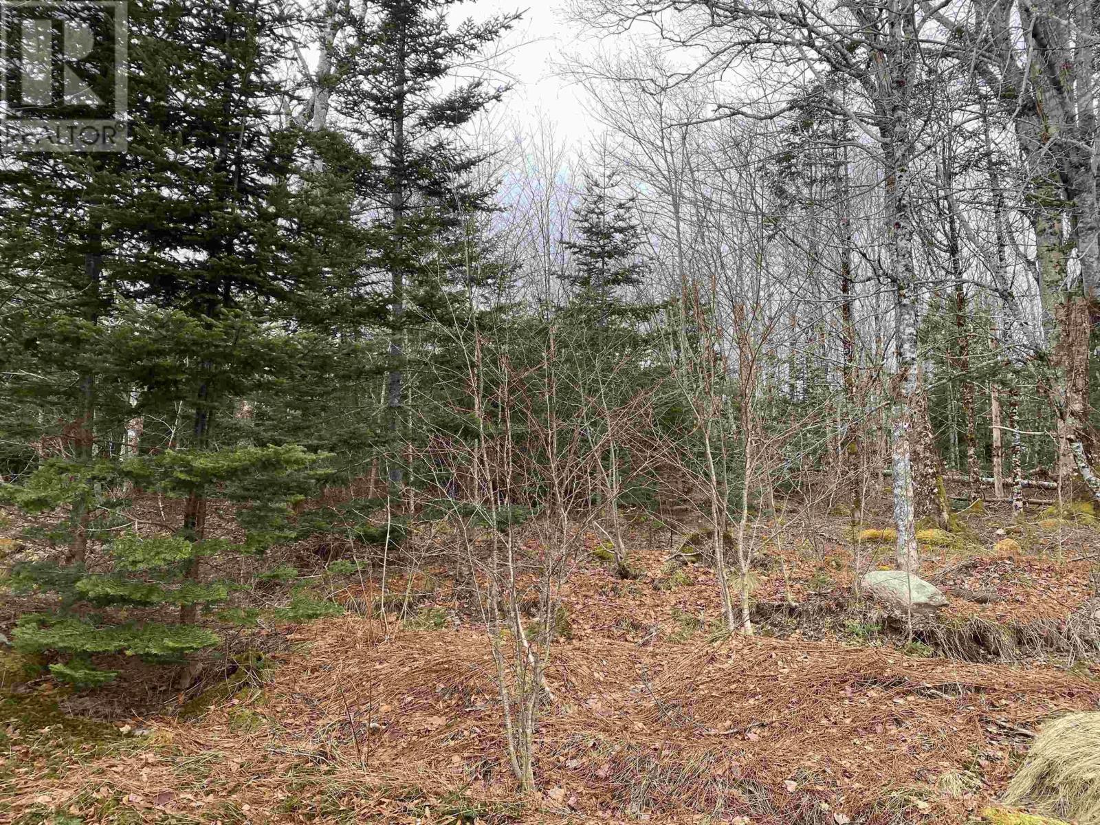 1591 Mooseland Road, Jacket Lake, Nova Scotia  B0J 2J0 - Photo 9 - 202405021