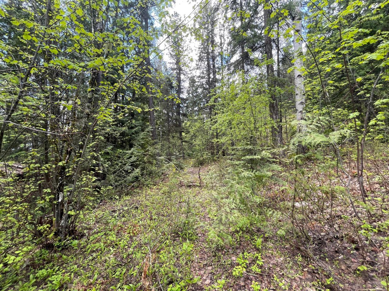 Lot 1 Langill Road, Krestova, British Columbia  V0G 1H0 - Photo 14 - 2475591