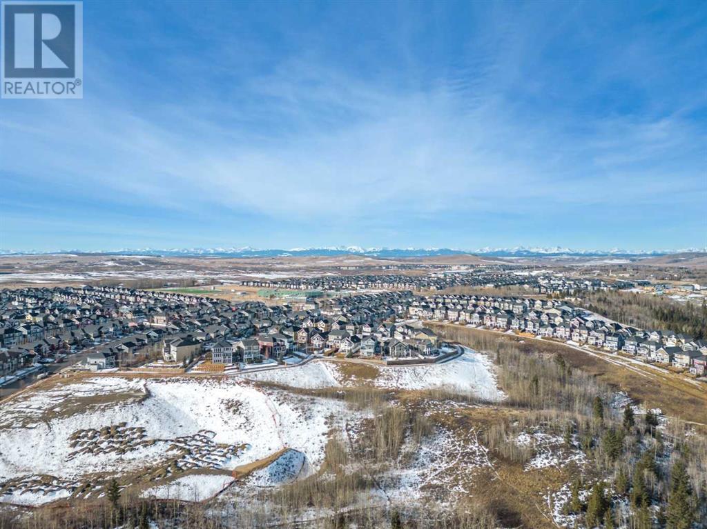 229 Precedence View, Cochrane, Alberta  T4C 3B4 - Photo 47 - A2115677