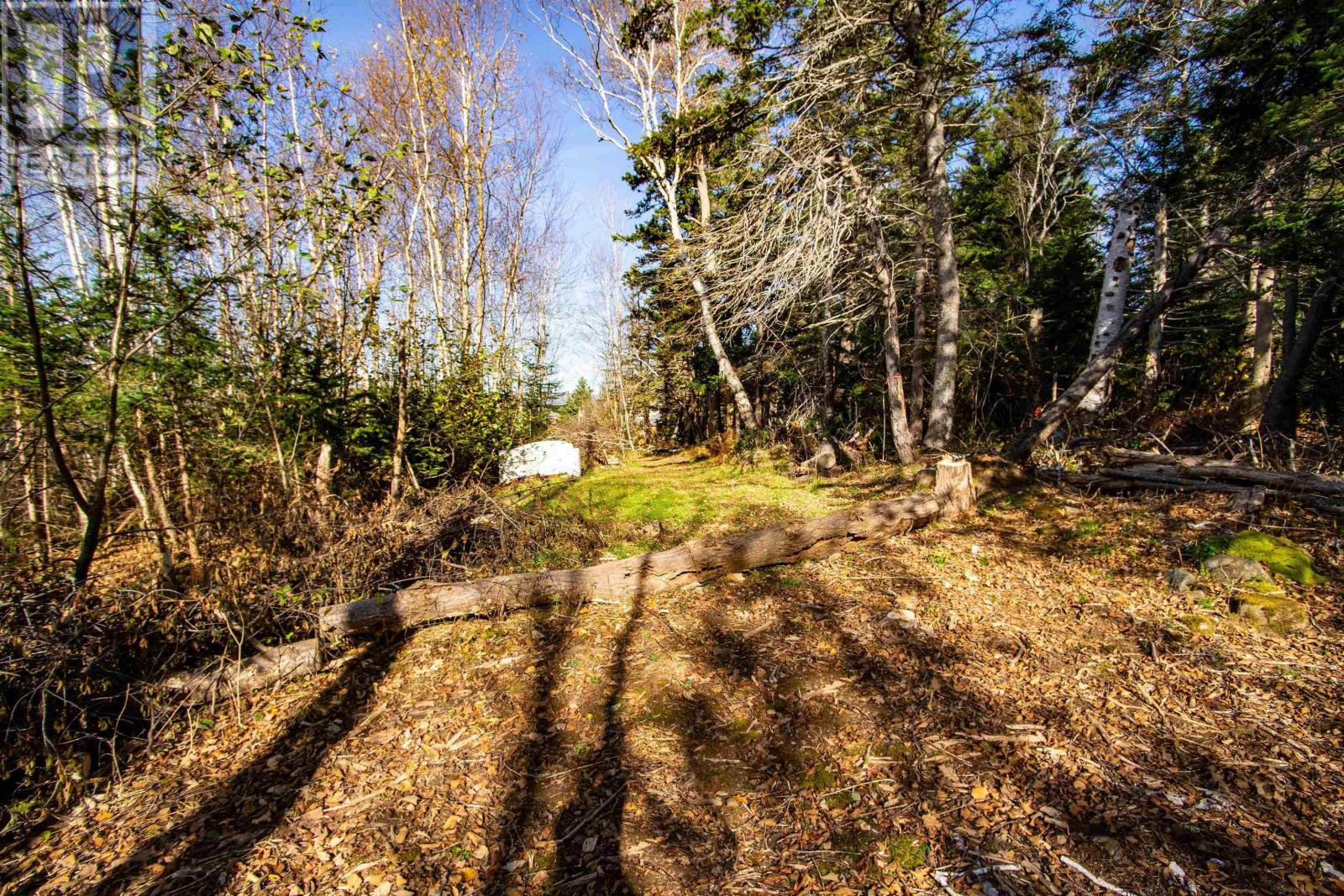 Highway 1, Clementsport, Nova Scotia  B0S 1A0 - Photo 10 - 202405017