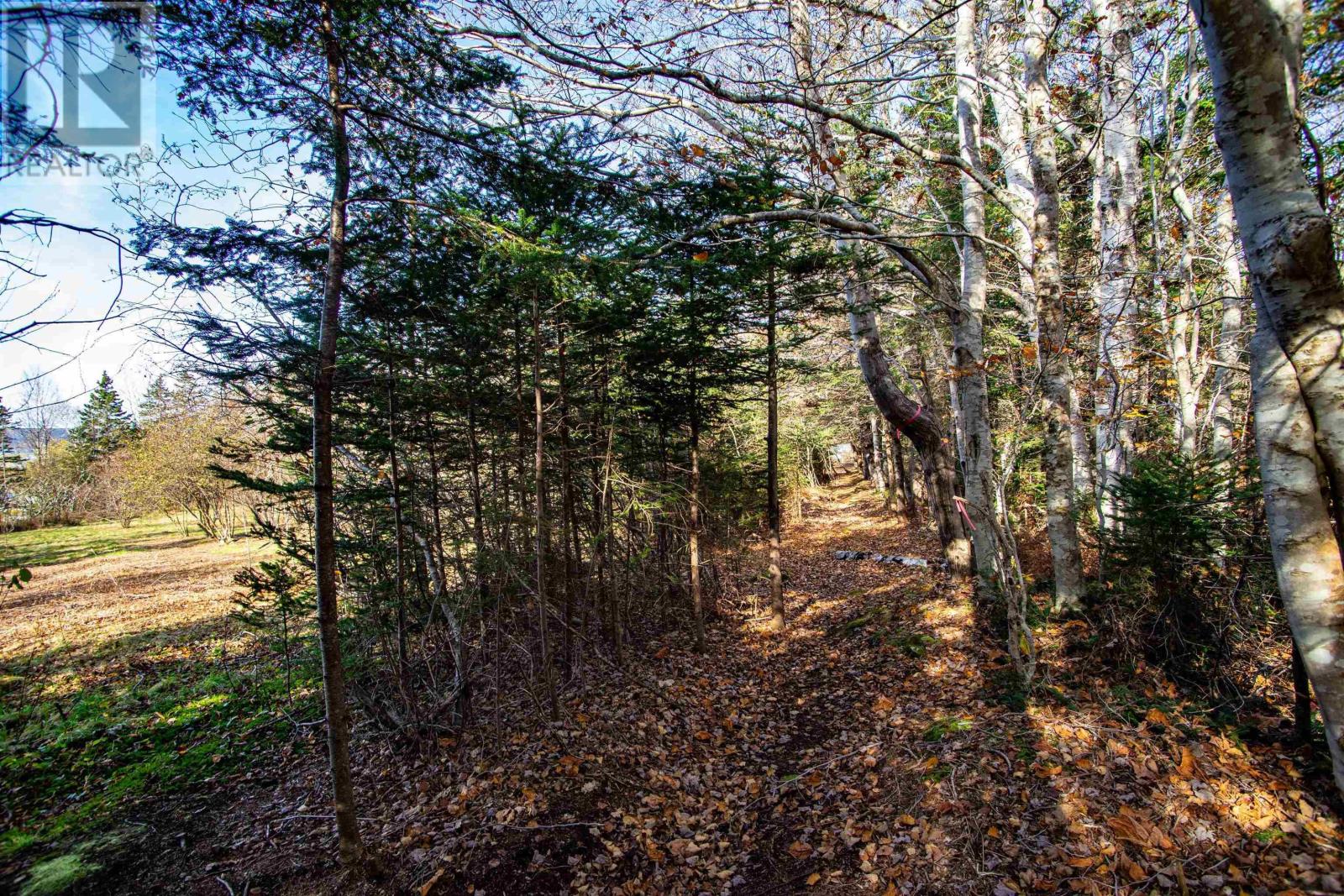 Highway 1, Clementsport, Nova Scotia  B0S 1A0 - Photo 19 - 202405017