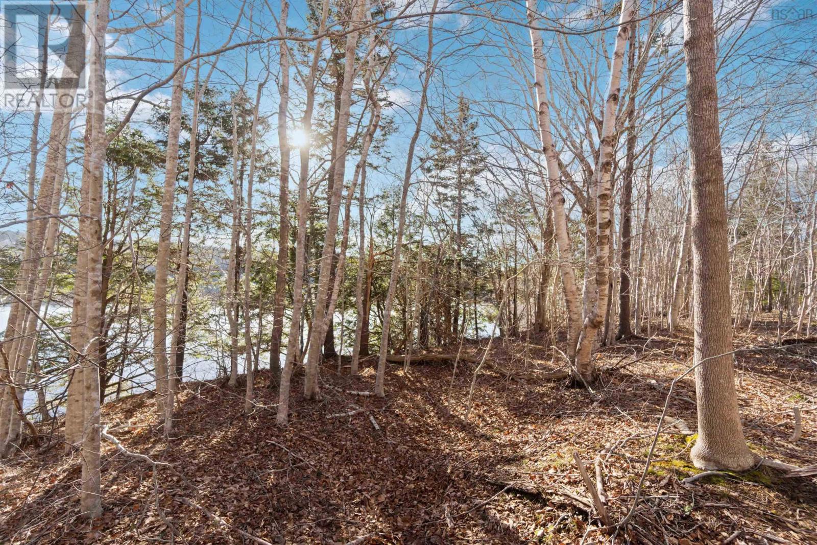 Lot 3 Riverside Road, New Edinburgh, Nova Scotia  B0W 3T0 - Photo 11 - 202405108