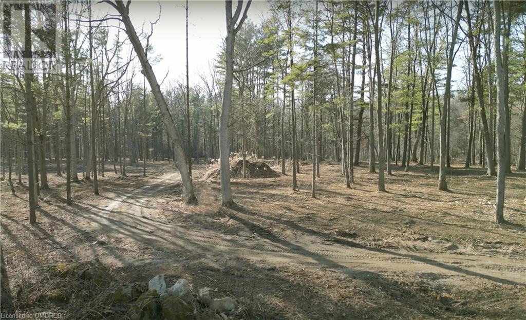 155 Clarke Road, Paris, Ontario  N3L 3E1 - Photo 4 - 40545694