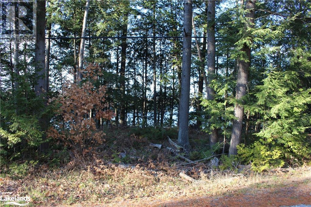 0 Crystal Lake Road, Kinmount, Ontario  K0M 2A0 - Photo 2 - 40557424