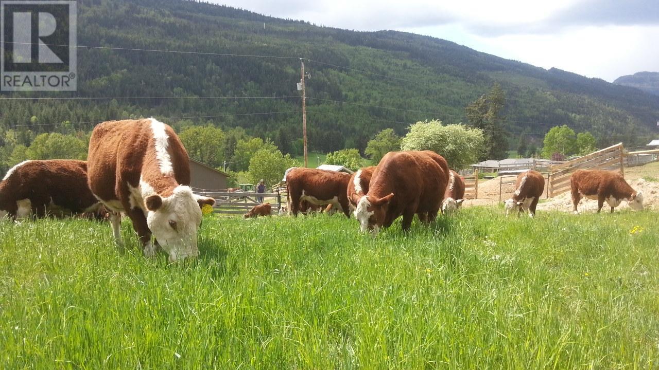 430 Agate Bay Road, Barriere, British Columbia  V0E 2E0 - Photo 44 - 177353