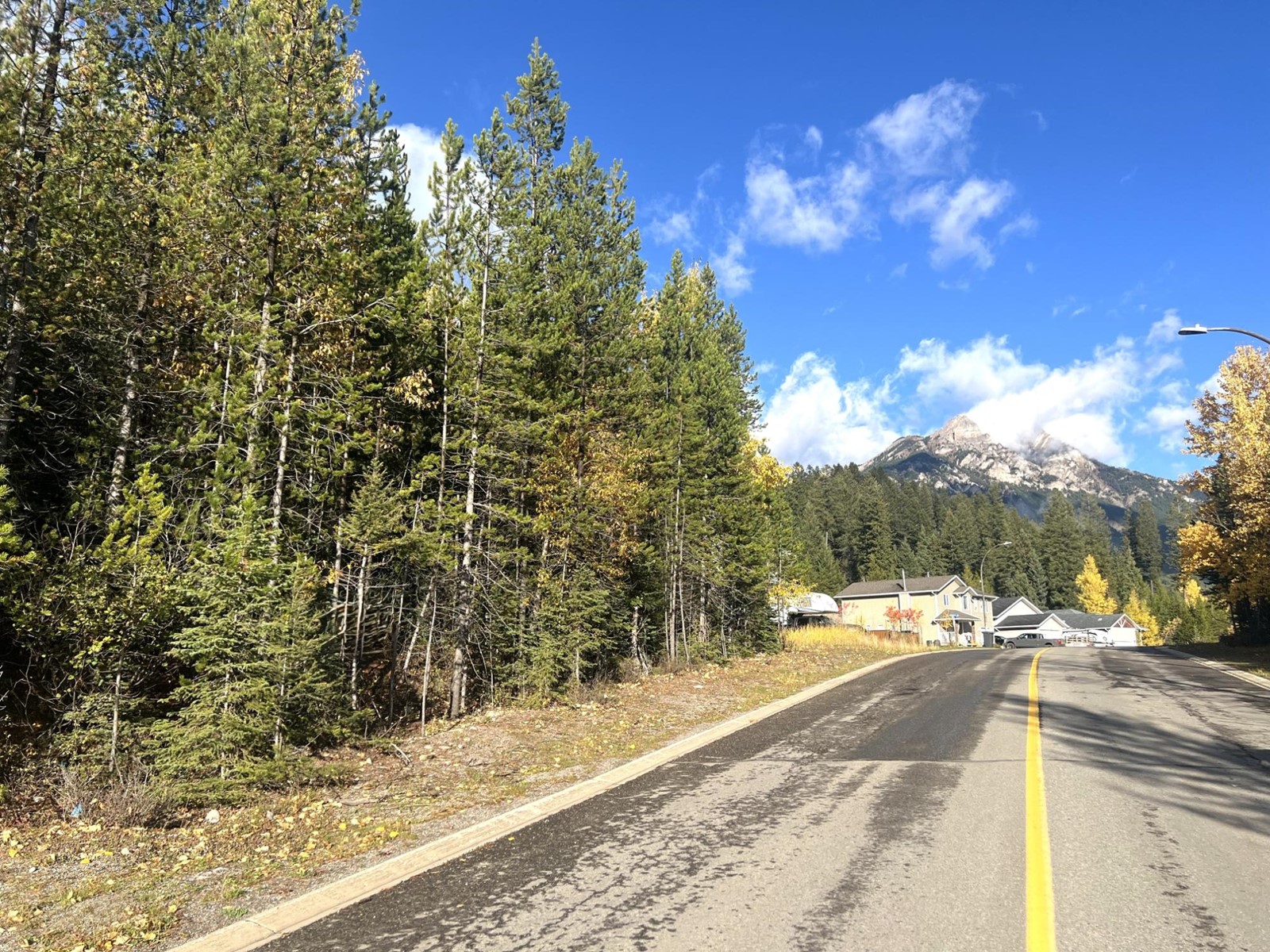 81 Deerborne Drive, Elkford, British Columbia  V0B 1H0 - Photo 5 - 2475620