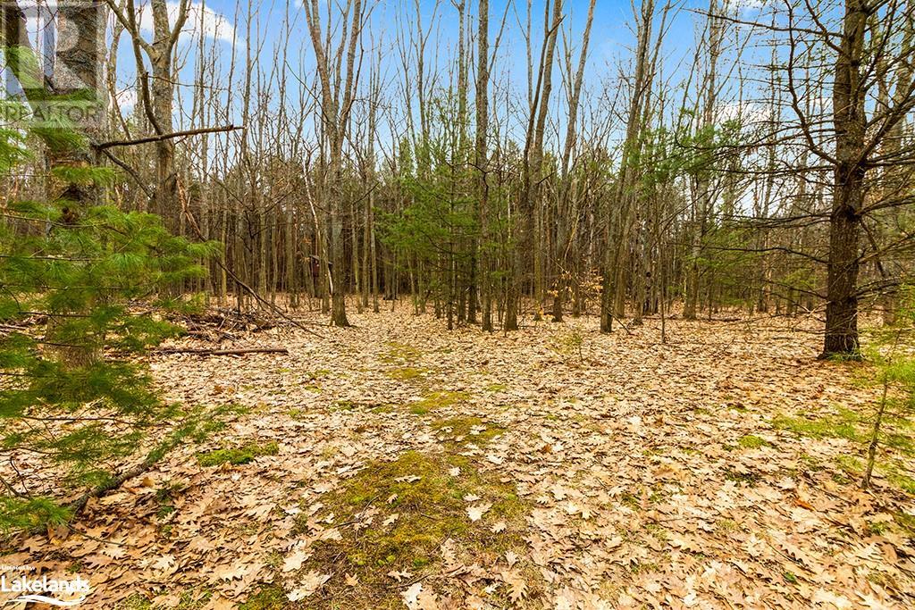 1056 Fuller Avenue, Penetanguishene, Ontario  L9M 1G7 - Photo 10 - 40555897