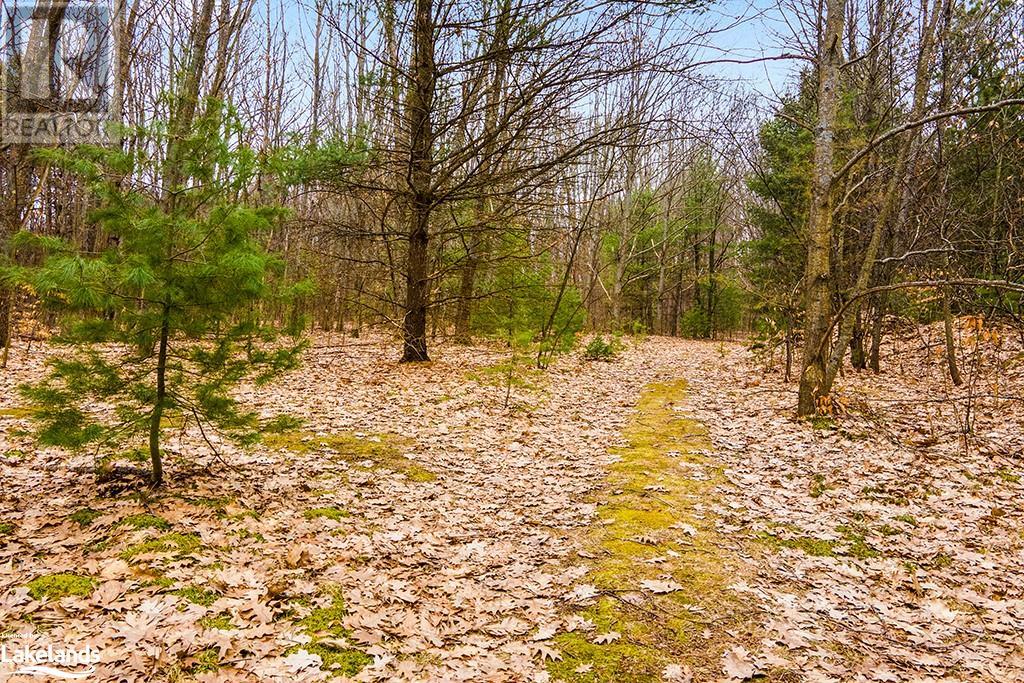 1056 Fuller Avenue, Penetanguishene, Ontario  L9M 1G7 - Photo 12 - 40555897