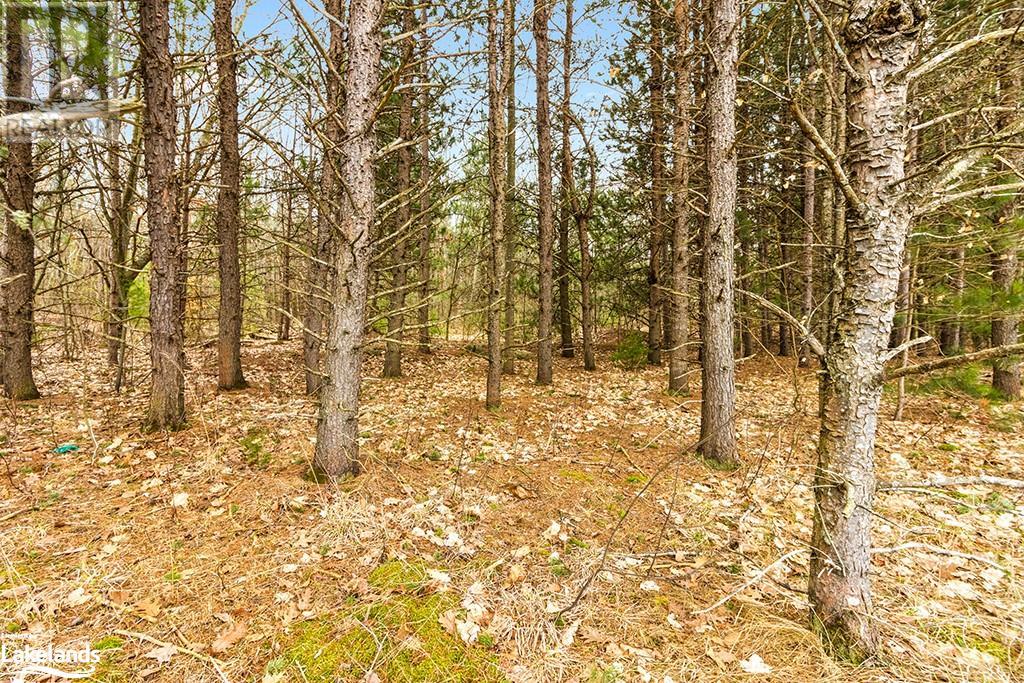 1056 Fuller Avenue, Penetanguishene, Ontario  L9M 1G7 - Photo 13 - 40555897