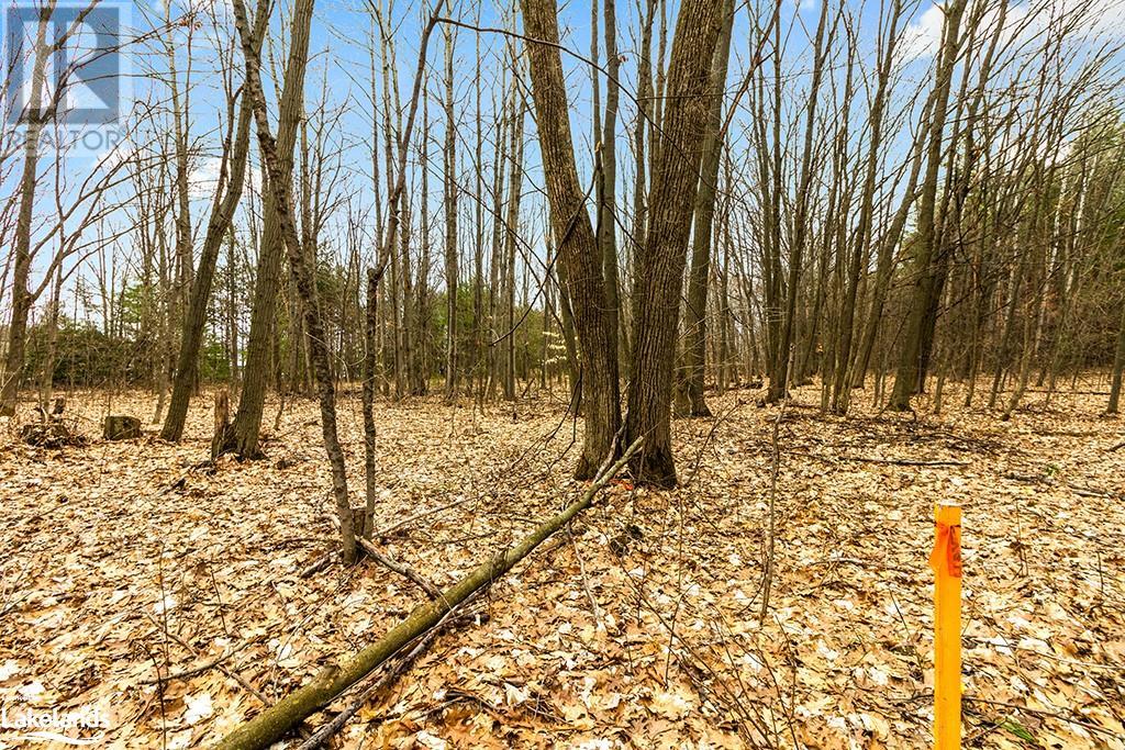 1056 Fuller Avenue, Penetanguishene, Ontario  L9M 1G7 - Photo 8 - 40555897