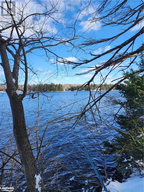 Lot 4 Butterfly Lake Road, Port Carling, Ontario  P0B 1J0 - Photo 12 - 40556383