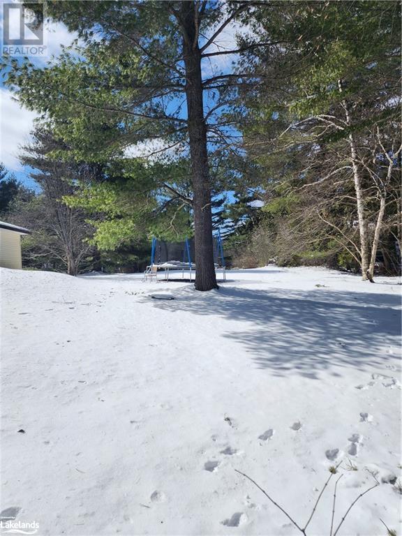 Lot 4 Butterfly Lake Road, Port Carling, Ontario  P0B 1J0 - Photo 18 - 40556383