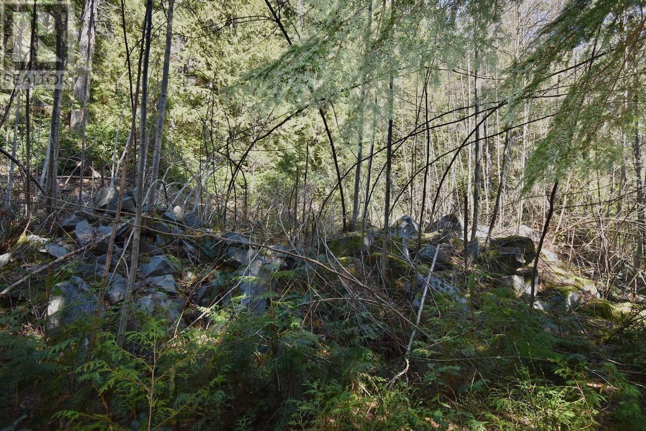 37 Lots Witherby Beach Road, Gibsons, British Columbia  V0N 1V0 - Photo 21 - R2857143